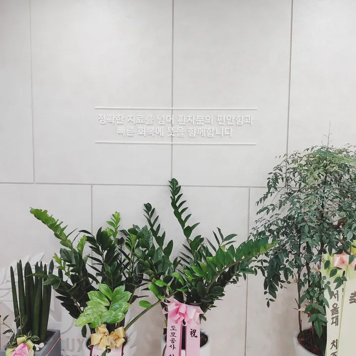 서울다정치과의원 — 병원이 네이버 플레이스에 올린 사진