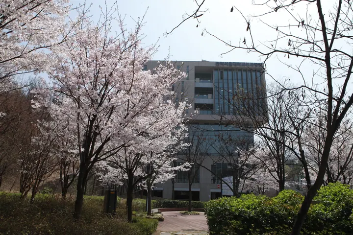 관악서울대학교치과병원 — 병원이 네이버 플레이스에 올린 사진