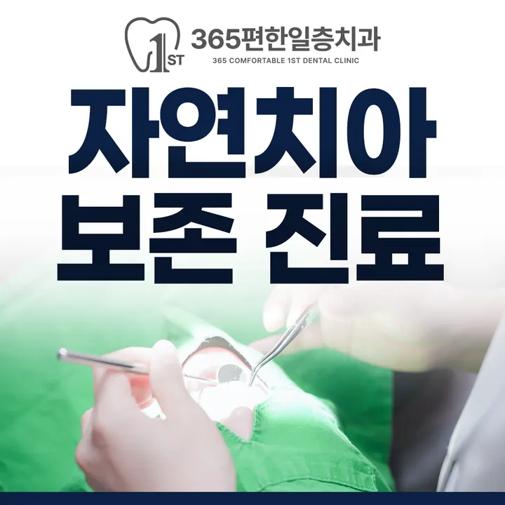 365편한일층치과의원 사진 3