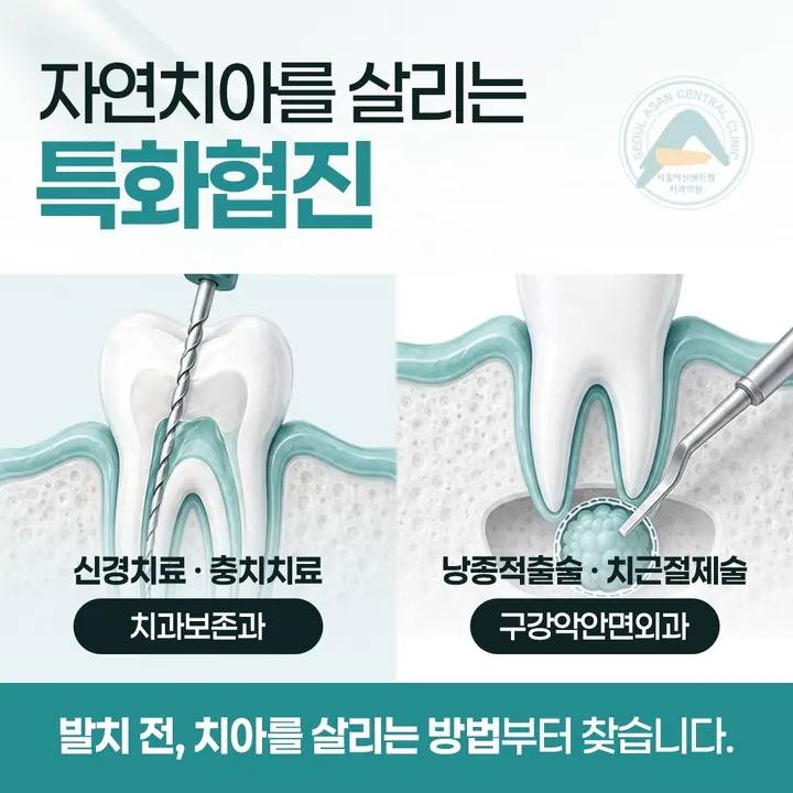 서울아산센트럴치과의원 사진 3