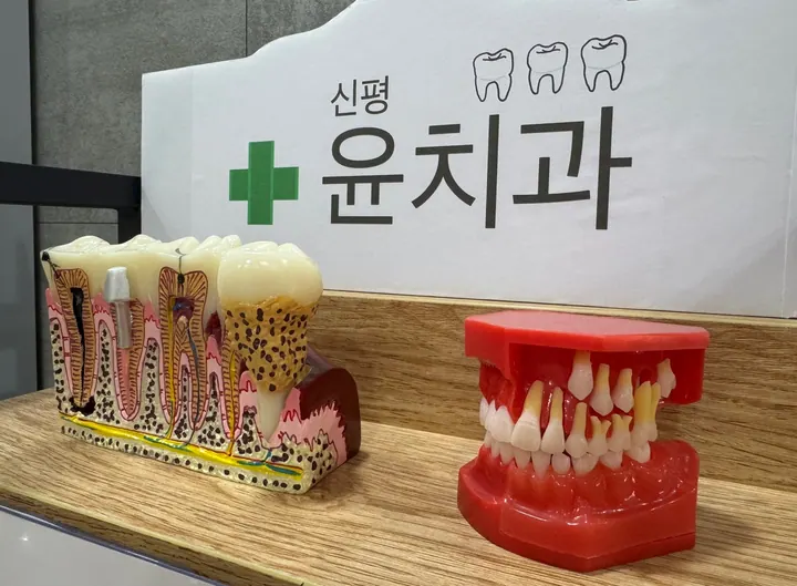 윤치과의원 사진 4