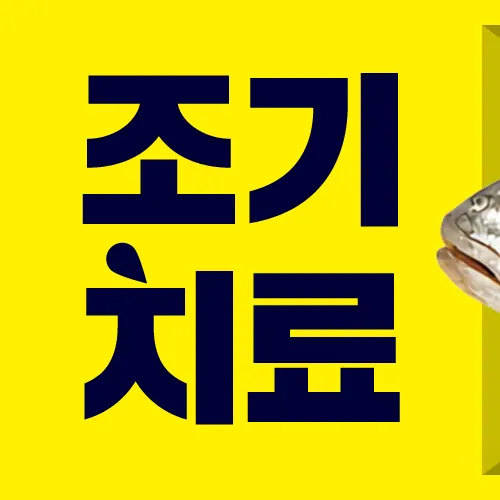 메가플란트치과의원 — 병원이 네이버 플레이스에 올린 사진